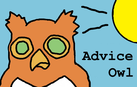Advice Owl in the sun